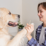 How to Choose Safe Dog Supplements