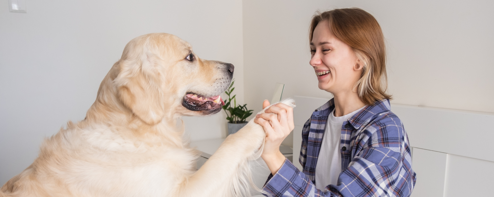 How to Choose Safe Dog Supplements