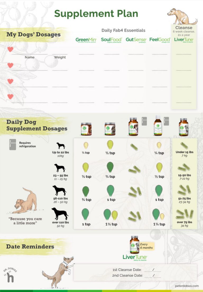 The Dosage Gap: Label Claims vs Actual Content in Dog Probiotics