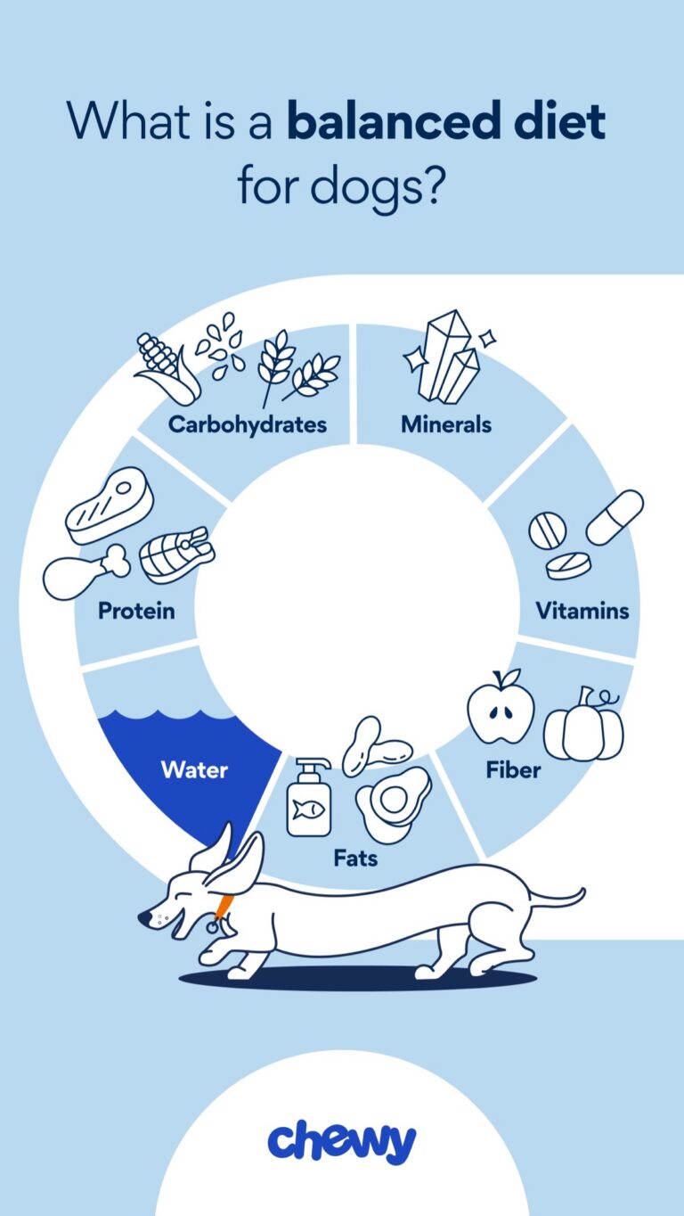 How Pet Supplement Brands Game Amazon Reviews