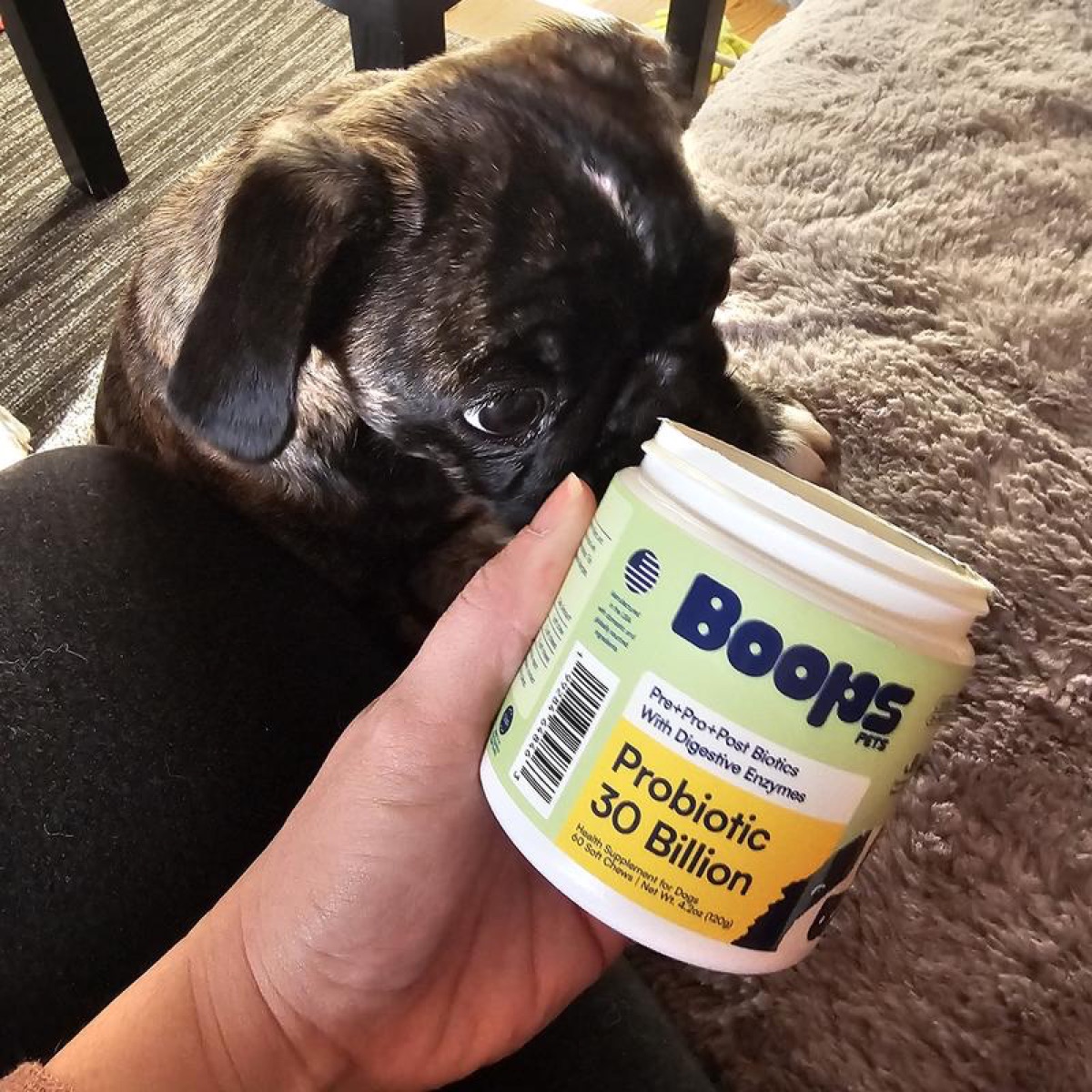 Regulatory Gap: Why the FDA Can't Keep Up With Pet Supplement Claims