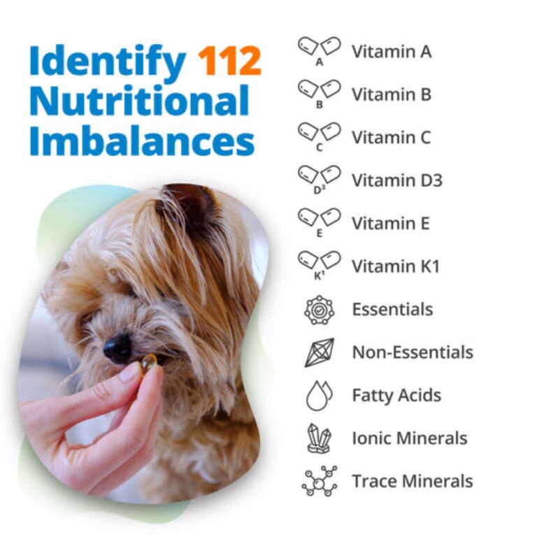 Follow the Money: Who Funds Pet Nutrition Research?